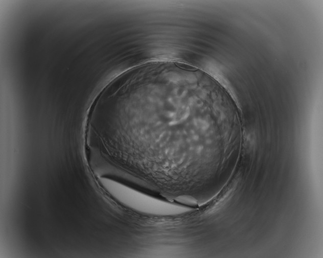 X0000088471002200705291545