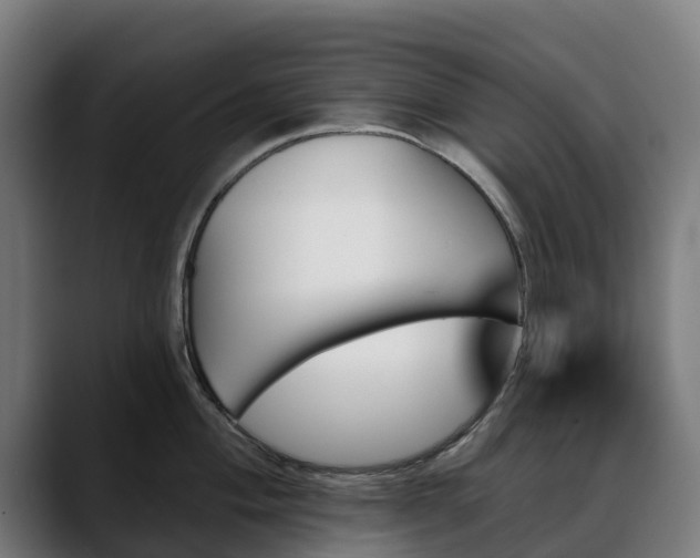 X0000088471004200705291545