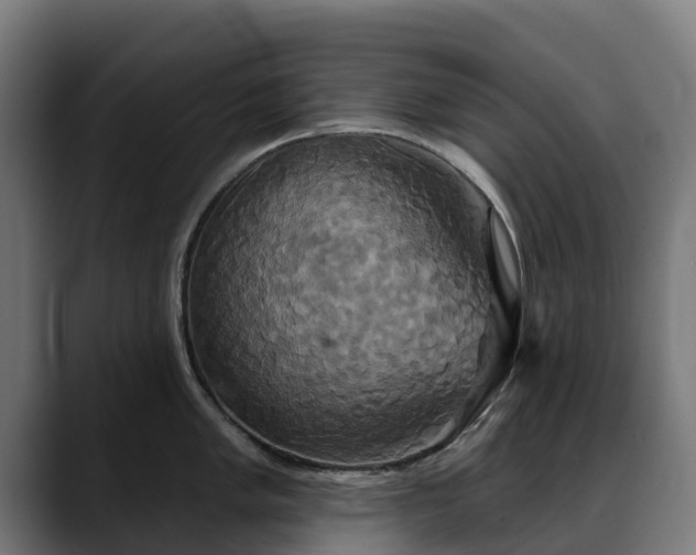 X0000088471005200705291545