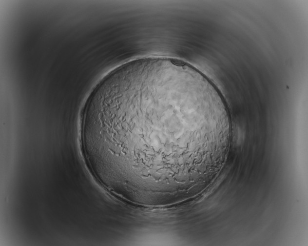 X0000088471006200705291545