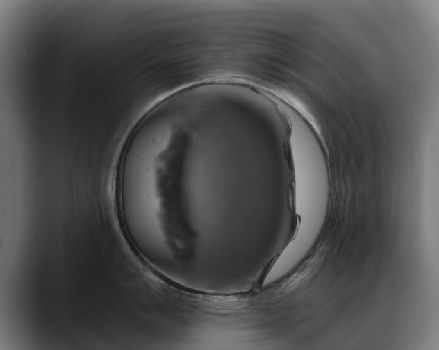 X0000088471007200705291545