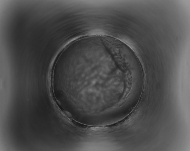 X0000088471008200705291545