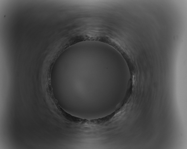 X0000088471009200705291545