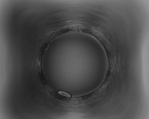 X0000088471013200705291545