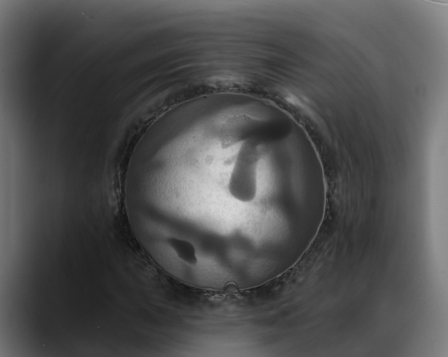 X0000088471015200705291545