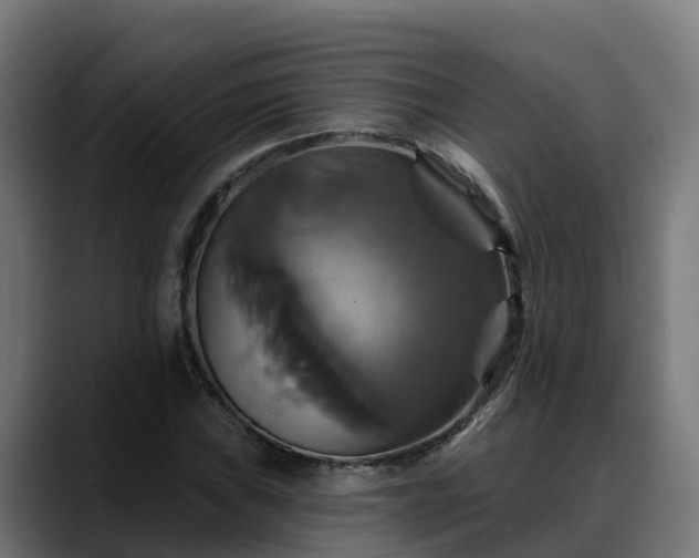 X0000088471019200705291545