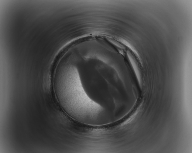 X0000088471021200705291545