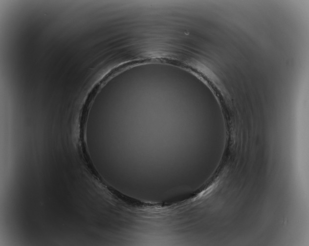 X0000088471023200705291545