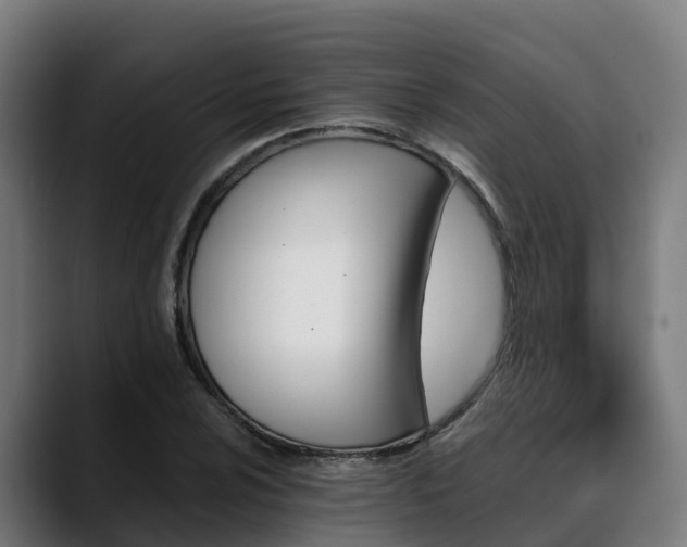 X0000088471024200705291545