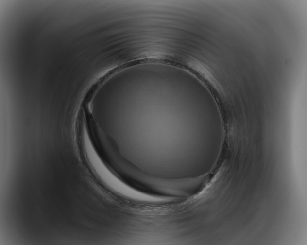 X0000088471026200705291545