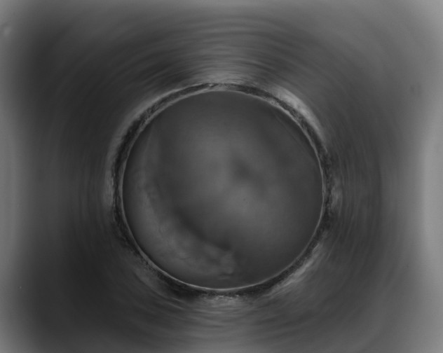 X0000088471027200705291545