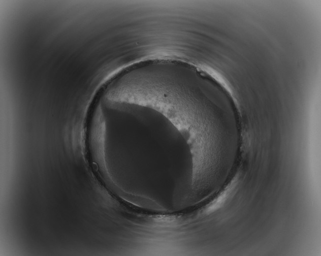 X0000088471029200705291545