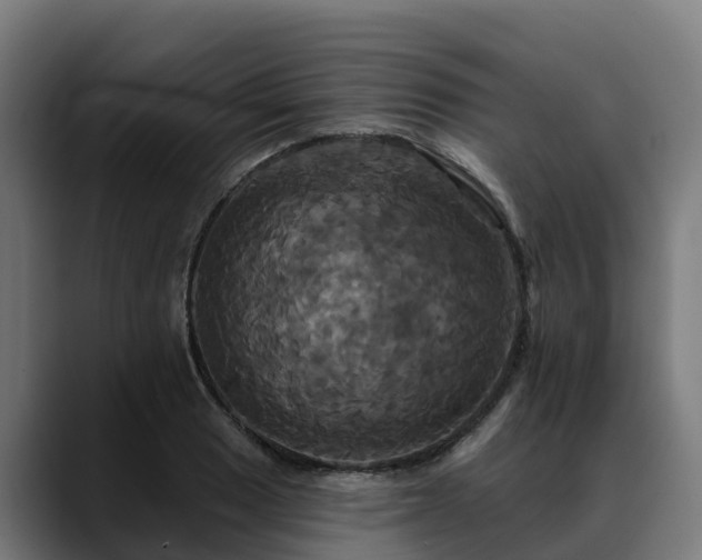 X0000088471033200705291545