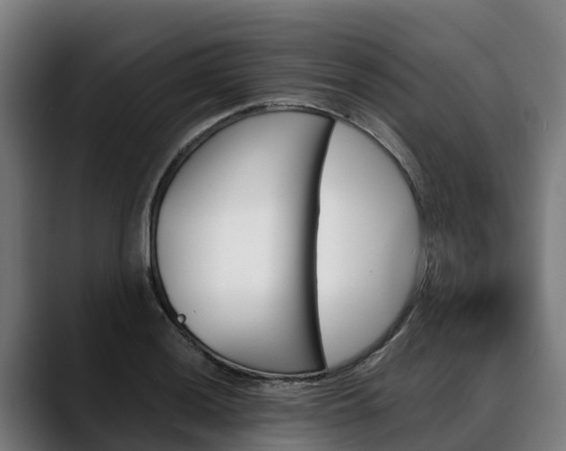 X0000088471036200705291545