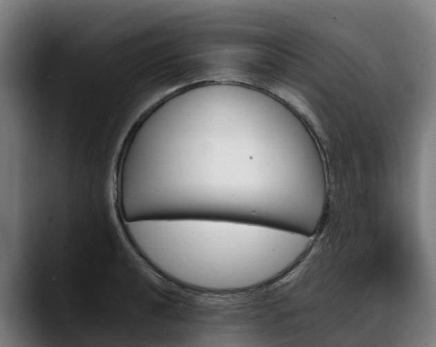 X0000088471040200705291545