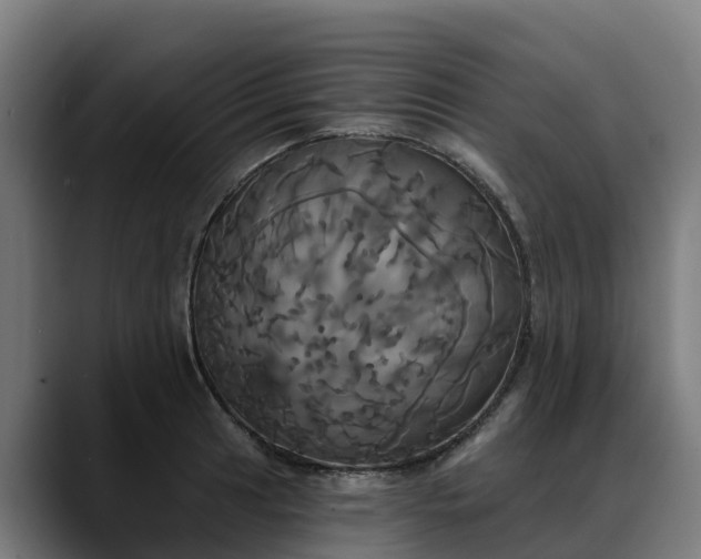 X0000088471041200705291545