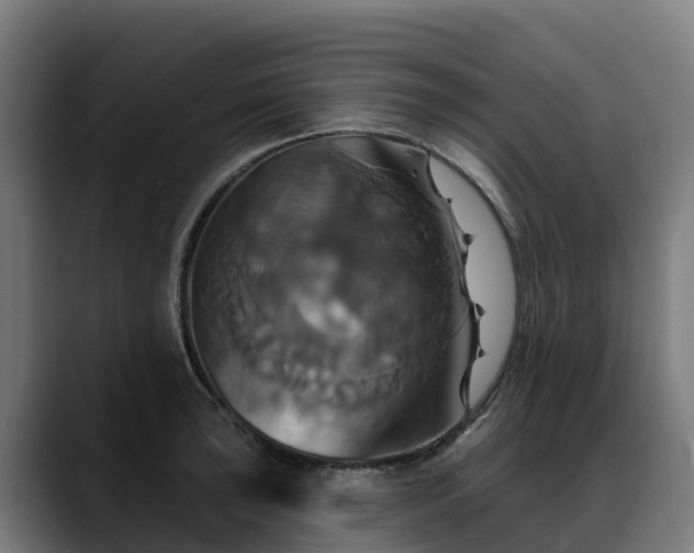 X0000088471043200705291545