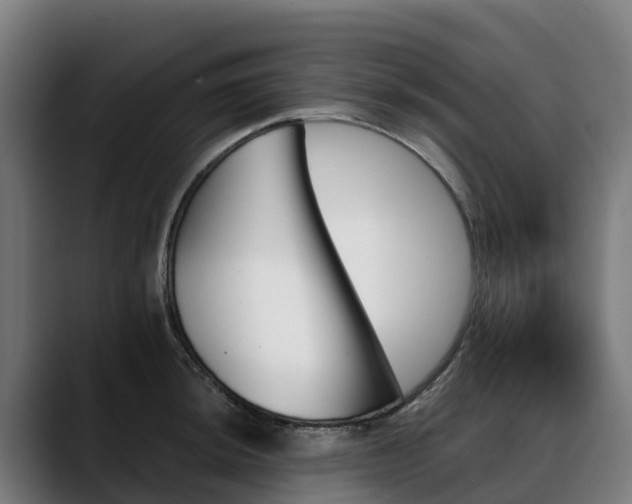 X0000088471044200705291545