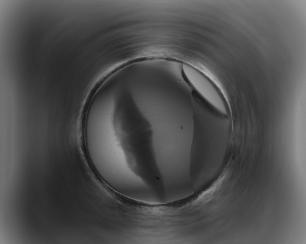 X0000088471045200705291545