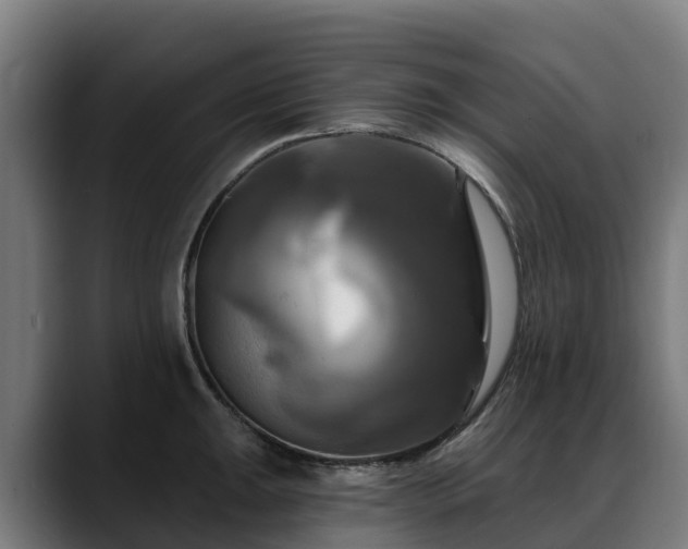 X0000088471047200705291545
