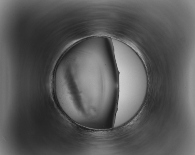 X0000088471048200705291545