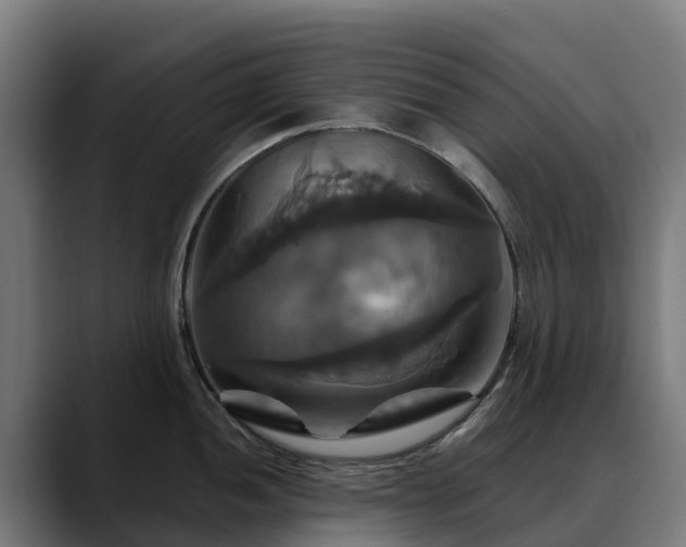X0000088471052200705291545