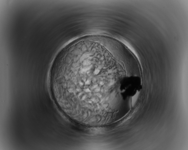 X0000088471053200705291545