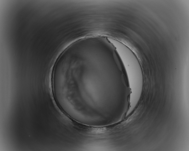 X0000088471055200705291545