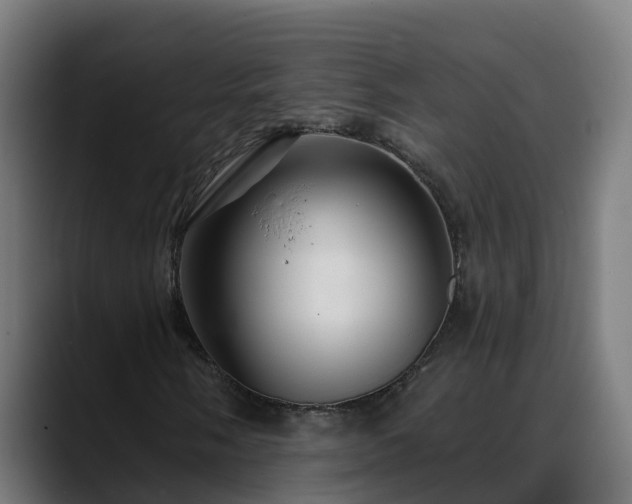 X0000088471058200705291545