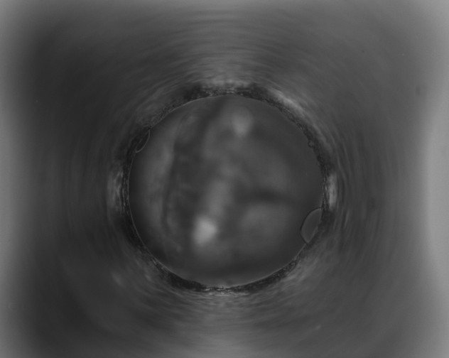 X0000088471059200705291545