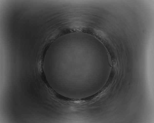 X0000088471060200705291545