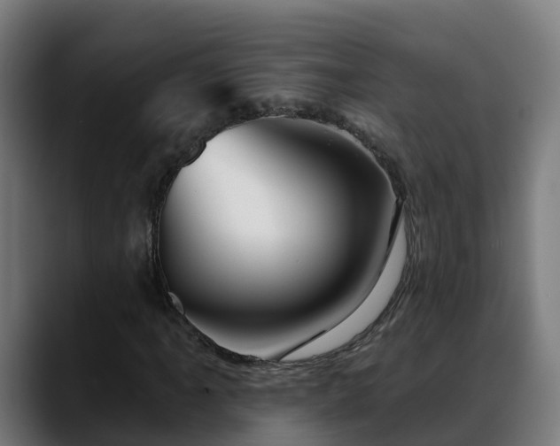 X0000088471061200705291545