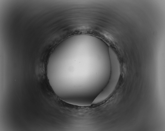 X0000088471062200705291545