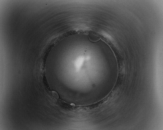 X0000088471063200705291545