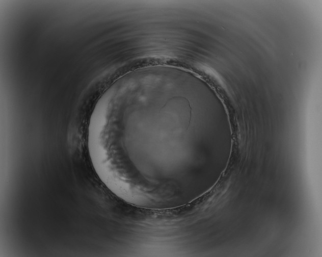 X0000088471064200705291544