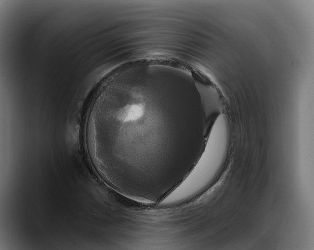 X0000088471066200705291544