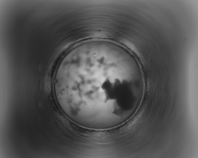 X0000088471067200705291544