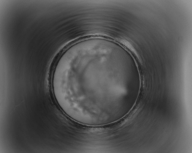 X0000088471068200705291544