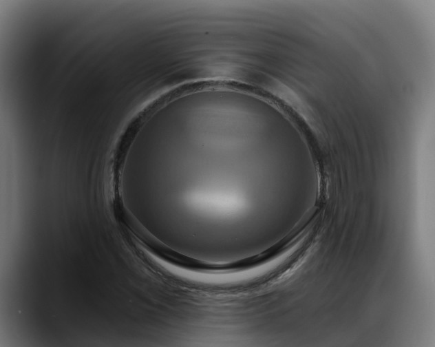 X0000088471069200705291544
