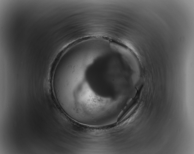 X0000088471071200705291544