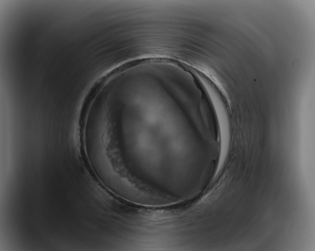 X0000088471072200705291544
