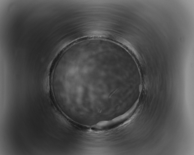 X0000088471075200705291544