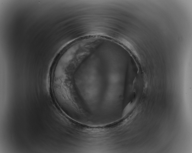 X0000088471076200705291544