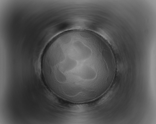X0000088471078200705291544