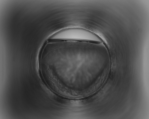 X0000088471080200705291544