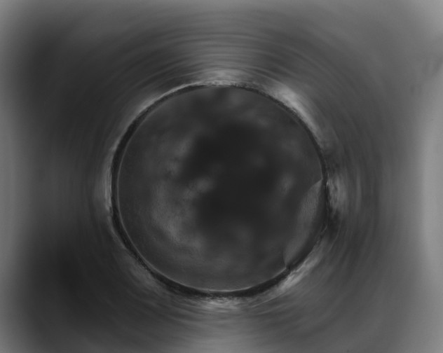 X0000088471083200705291544
