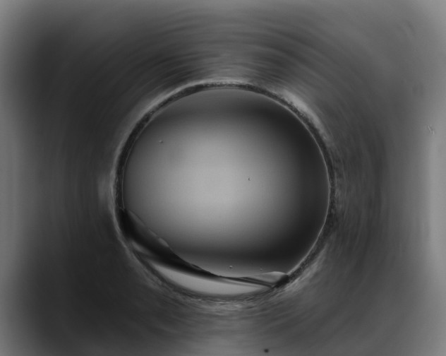 X0000088471085200705291544