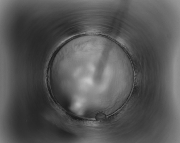 X0000088471086200705291544