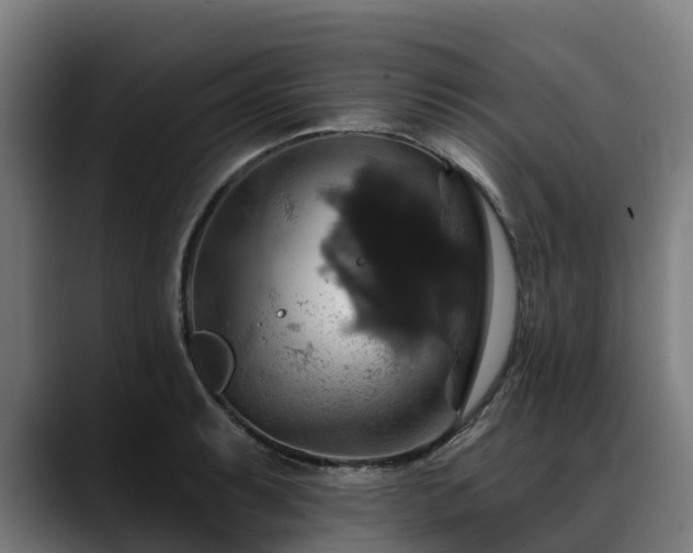 X0000088471087200705291544