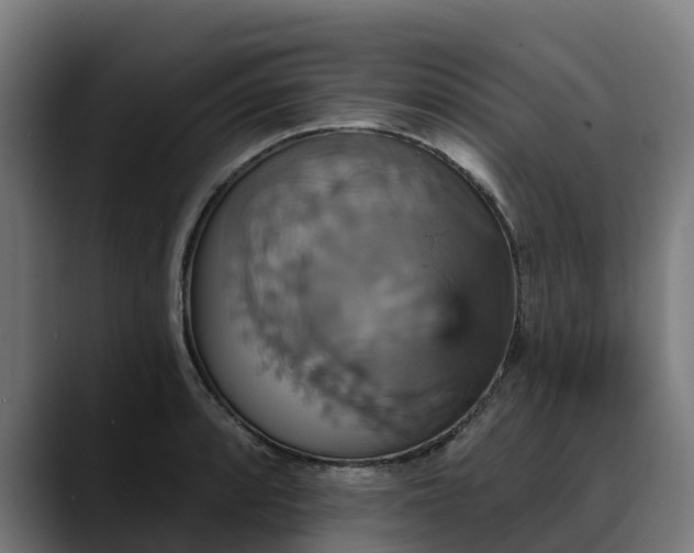 X0000088471088200705291544